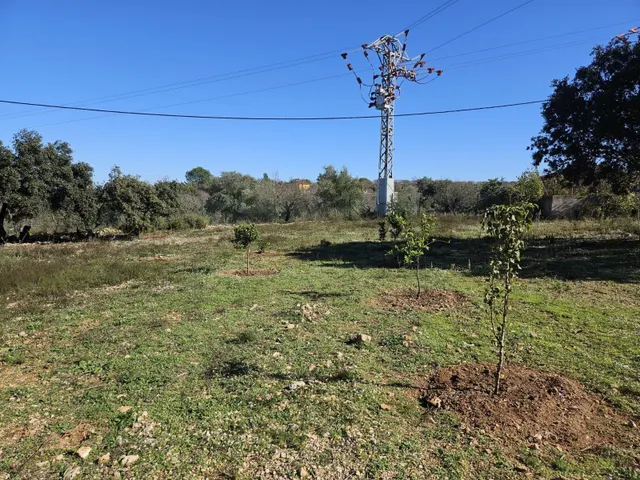 Terreno para recreo vallado y con acceso por camino asfaltado — 10