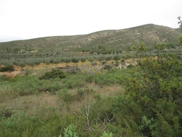 SUELO URBANIZABLE EN VENTA MACASTRE (VALENCIA) - foto 2