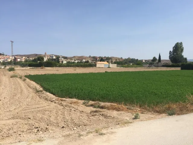 +Terreno no urbano en Molina de Segura zona Ribera de molina, 1118 m. superficie parcela++. — 5
