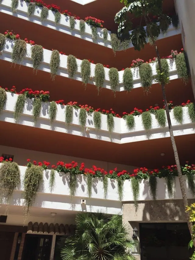 Apartamento 2 habitaciones 199m² en alquiler - Nueva Andalucía — 12