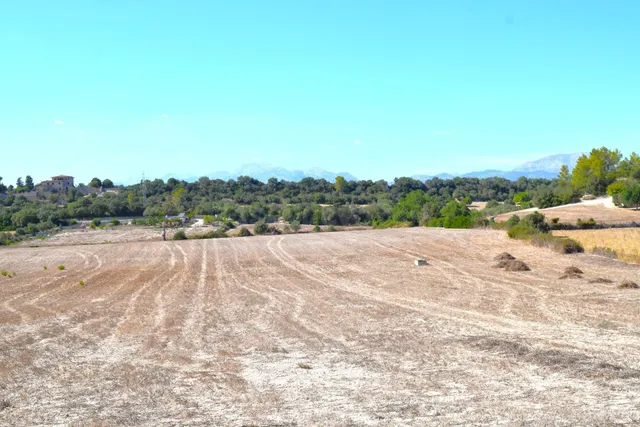 Finca rústica con posibilidad de vivienda en Llubi