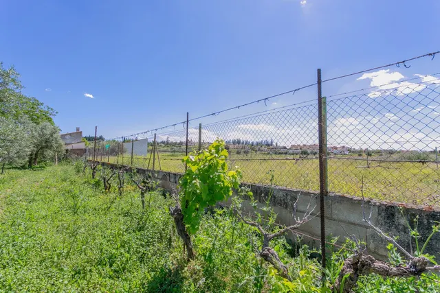 "¡Vive la vida en el campo! Terreno con casa de aperos y cultivos de olivos y frutales en ve — 20