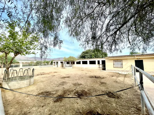 Casa de campo 3 habitaciones 130m² en venta - Montepinar-La Aparecida-Raiguero — 36