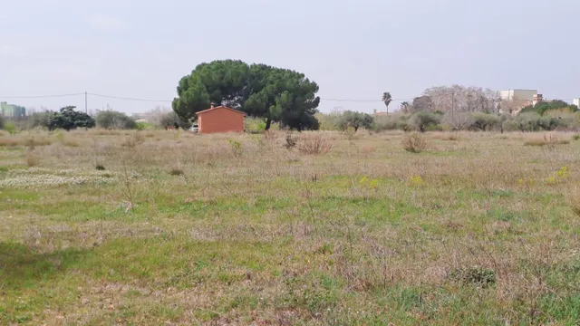 Finca rústica en venta en Constanti — 7