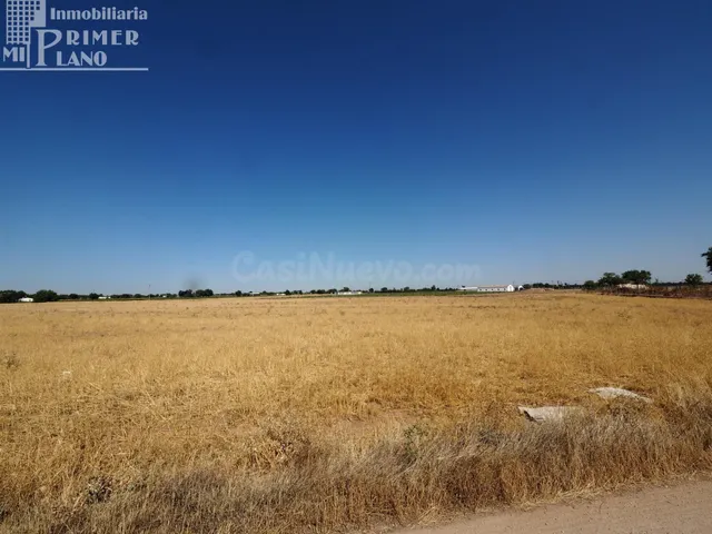 Oportunidad de Inversión: Solar Urbano en Tomelloso a €27/m2
