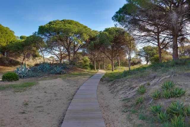 Adosado reformado a pocos minutos de la playa en El Moncayo — 49