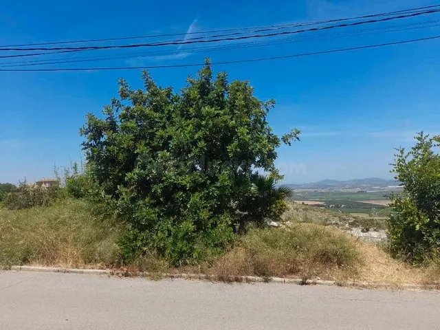 Gran parcela urbana en urb. San Miguel (Chiva) - foto 5