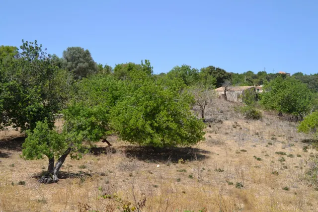 Finca rústica en Campanet — 20