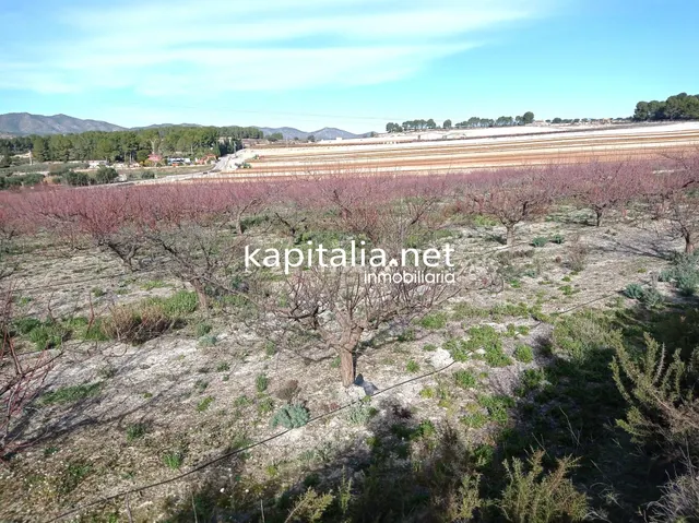 PARCELAS A LA VENTA EN LOS TERMINOS DE ONTINYENT Y AGULLENT, ZONA CALS XOPS Y CAL CANONGE — 7