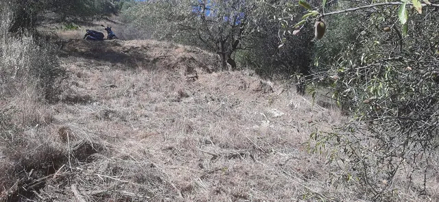 Finca rústica en zona alta de Marbella con vistas y servicio