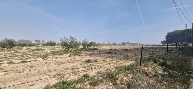 13000M2 DE TERRENO EDIFICABLE EN MAITINO/PERLETA - foto 2