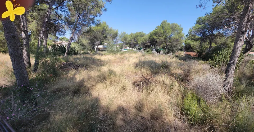PARCELA DE 1638 METROS  EN ENTORNO NATURAL Y URBANO
