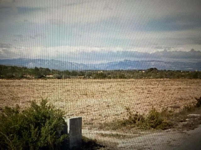 Terreno rustico con caseta - Vinaros - Castellón — 7