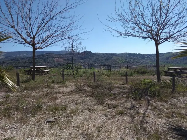 SE VENDE FINCA RUSTICA CON VIVIENDAS CERCA DE OLVERA - foto 4
