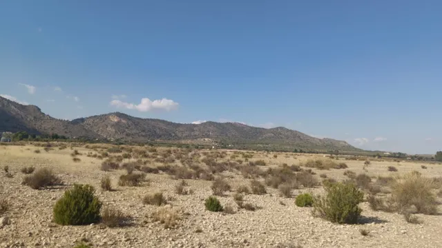 Terreno en Salinas para proyecto único - Comunidad Valenciana — 11