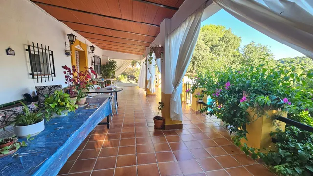 Chalet independiente en Siete Fincas: 3.000 m2 de parcela, piscina y muchísima privacidad — 7