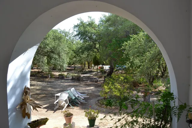 FINCA DE RECREO CON 14 HECTAREAS EN ARCOS DE LA FRONTERA — 30