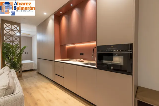 MODERNO ESTUDIO TIPO LOFT AMUEBLADO EN URBANIZACIÓN VILLA PINEDA - ZONA VILLAREJO — 13