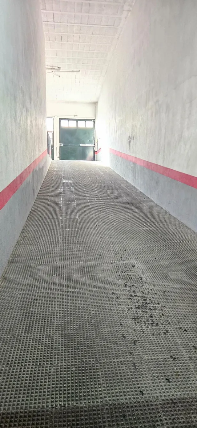 AMPLIA PLAZA DE GARAJE EN ZONA LOS PIRRALOS-CRISTOBAL COLON - foto 4