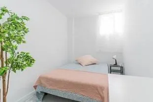Co-Living  - Ideal Inversionistas — 44