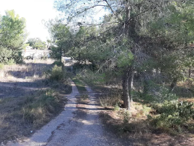 PARCELA URBANA EN URB LA PRESA DE MANISES — 5