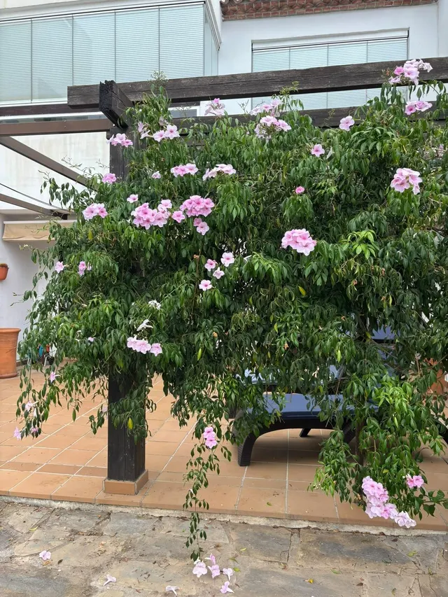En venta adosado en Casares Golf, zona exclusiva — 28