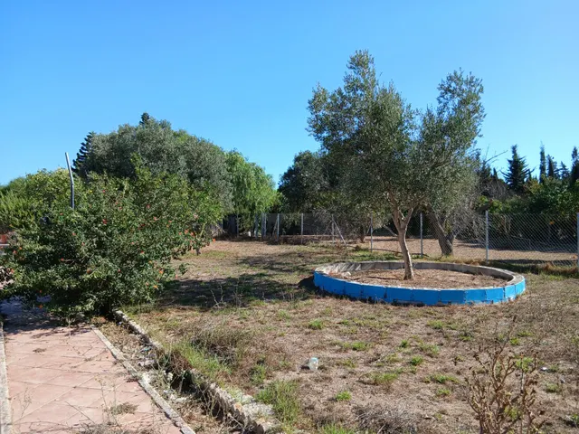 FINCA RÚSTICA EN CAMINIO DE TORREALTA — 2