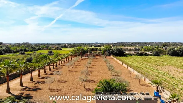 Casa de campo en Ses Salines — 20