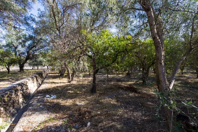 FINCA RUSTICA EN LA VEGUETA, PINOS DEL VALLE!! — 8