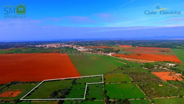 Terreno rústico de más de 18.500 m2 cerca de Ses Salines - foto 2