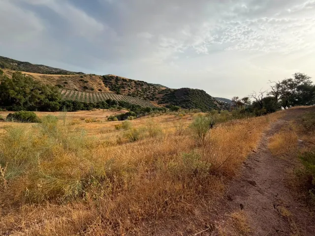 Terreno Rústico de 35 fanegas en FINCA LA SERENA! — 23