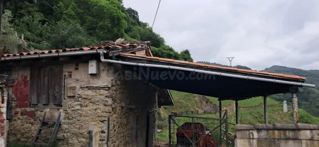 FINCA DE 30.000M2 CON CASA Y CUADRAS - foto 5