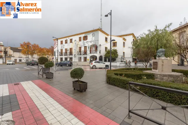 Piso en el corazón de Fuente Vaqueros — 26