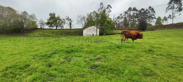 FINCA RÚSTICA CON CABAÑA Y VISTAS PANORÁMICAS EN LUENA.- — 4