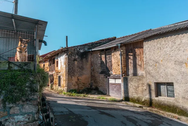 Casa totalmente reformada con finca y anexo para rehabilitar en L’Oteru, Piloña, muy cerca de Infiesto. — 42