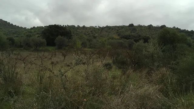 Terreno rústico en Coín: 22.219 m² con potencial de revalorización — 10