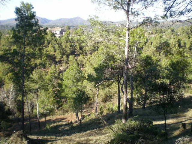 Solar en venta - foto 3