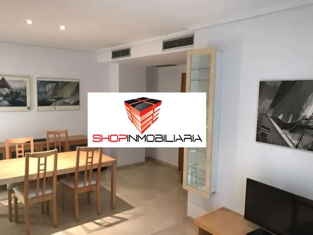 SE ALQUILA MAGNIFICO PISO EN SANT PAU — 10