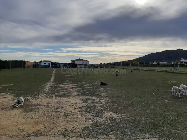 EL COLLADO, SIERRA DE FUENTES - foto 2