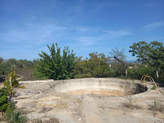 OCASION FINCA RUSTICA DE REGADIO CON VIVIENDA A 1,5 kM. DE MORA D´EBRE — 20