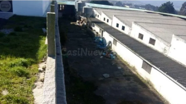 Se vende granja - foto 3
