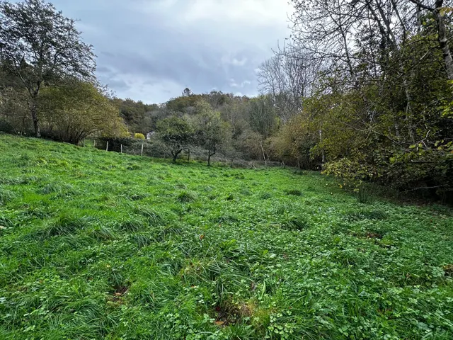 FINCA EDIFICABLE A 3 KM DE CANGAS DE ONIS — 14