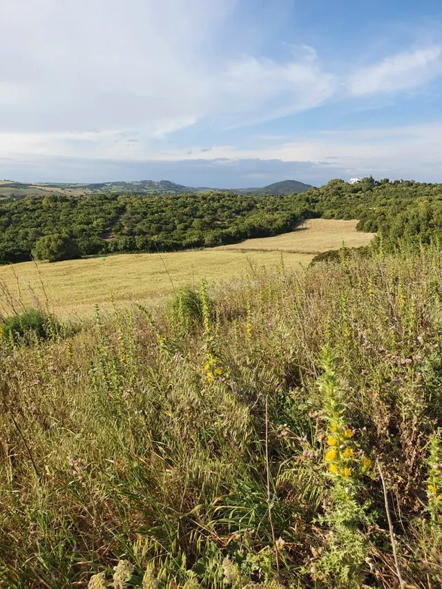 Gran finca de alto valor natural — 11