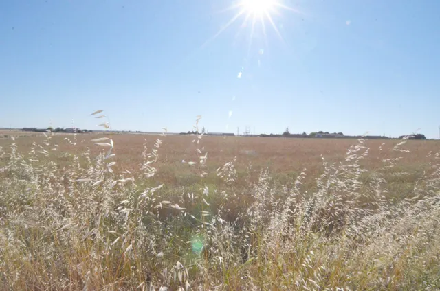 Urbis te ofrece un terreno en venta en Castellanos de Villiquera, Salamanca. — 2