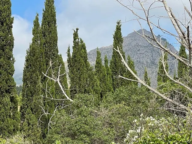 Terreno para hacer 10 chalets con vistas al mar, oportunidad. — 11