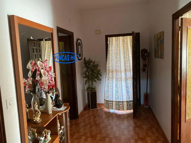 Típica casa tradicional de campo situada sobre terreno URBANO!  de 3900m2 — 19