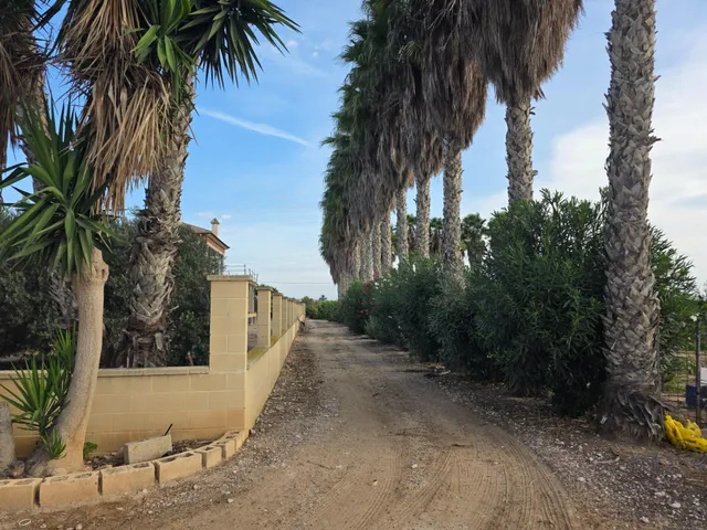 Espectacular finca rústica con proyecto de construcción y licencia en Los Montesinos — 33