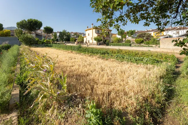 TERRENO URBANO 1060m EN LA ZUBIA — 5