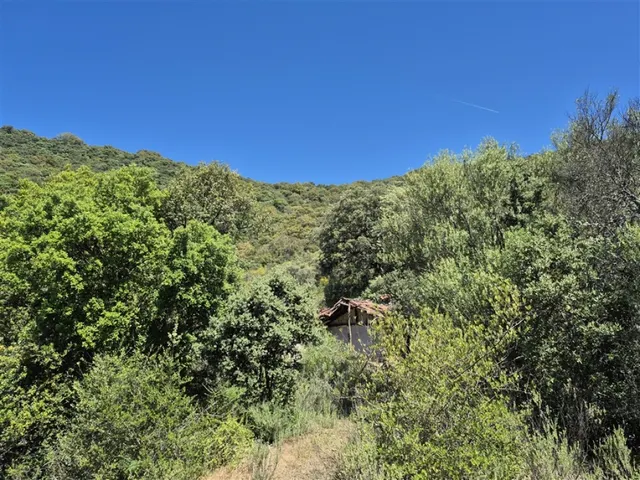Casa de campo-Masía en Venta en Atajate Málaga - foto 4