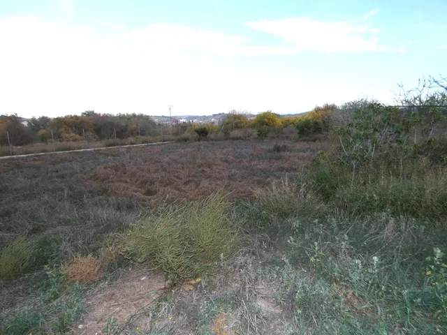 +NO ES SOLO UN TERRENO. ES UN CAMBIO DE VIDA. EN LA LOMA TORRES DE COTILLAS+ — 6
